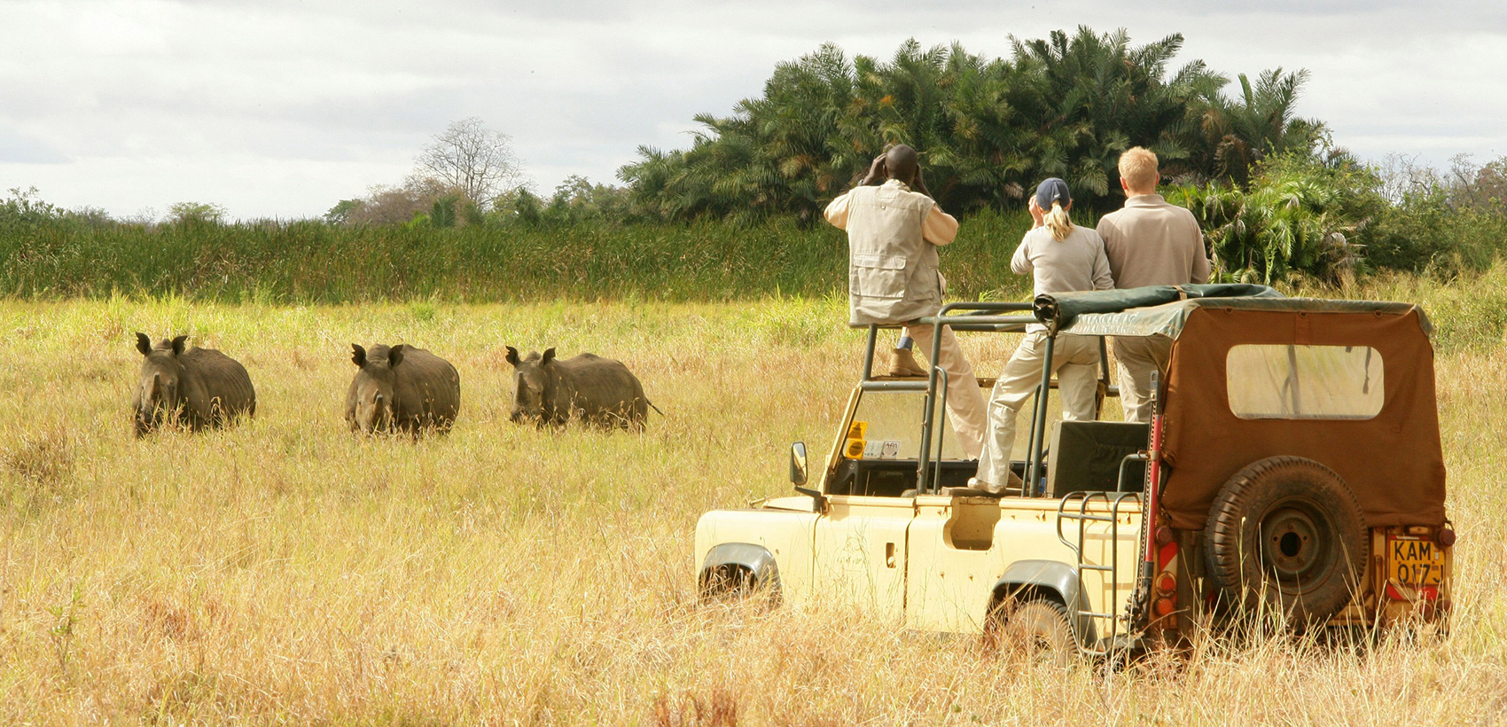 Quénia: Safari Quénia Clássico