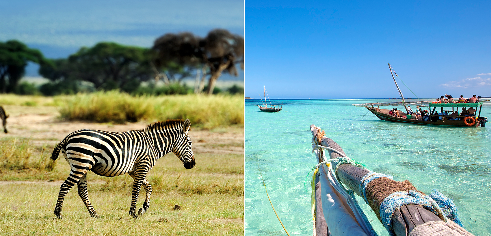 Safari Tanzânia Essencial + Zanzibar